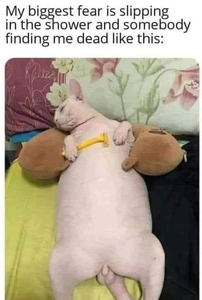 Hairless cat lying on its back holding a razor, posed humorously to resemble someone who slipped in the shower, used in a funny meme about awkward fears.