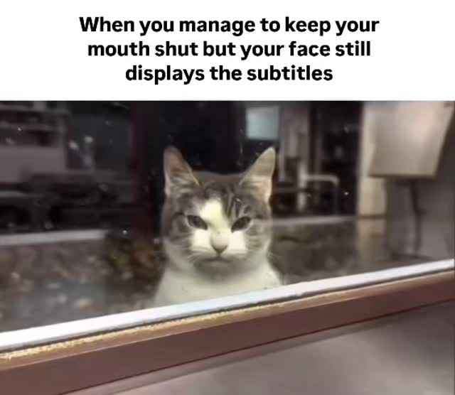Relatable Gen Z meme saying ‘when you managed to keep your mouth shut but your face still displays the subtitle,’ about facial expressions and silent reactions.