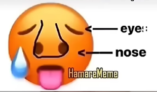 Meme showing a distressed emoji face with arrows labeling its eye and nose, humorously overanalyzing a simple emoji expression.